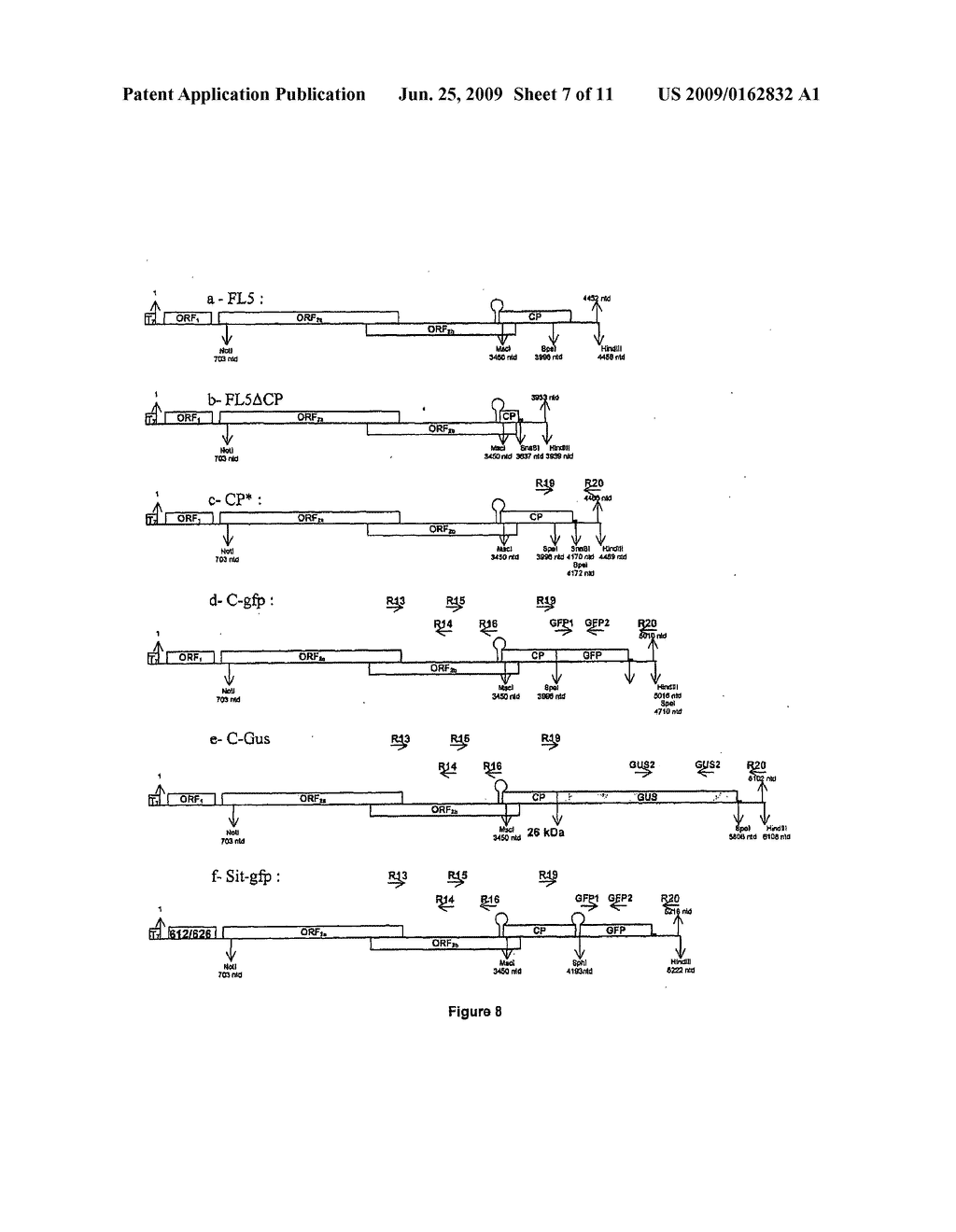 Functional viral vectors for the overexpression or extinction of particular genes in plants, and applications - diagram, schematic, and image 08