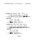 Functional viral vectors for the overexpression or extinction of particular genes in plants, and applications diagram and image