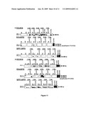 Functional viral vectors for the overexpression or extinction of particular genes in plants, and applications diagram and image