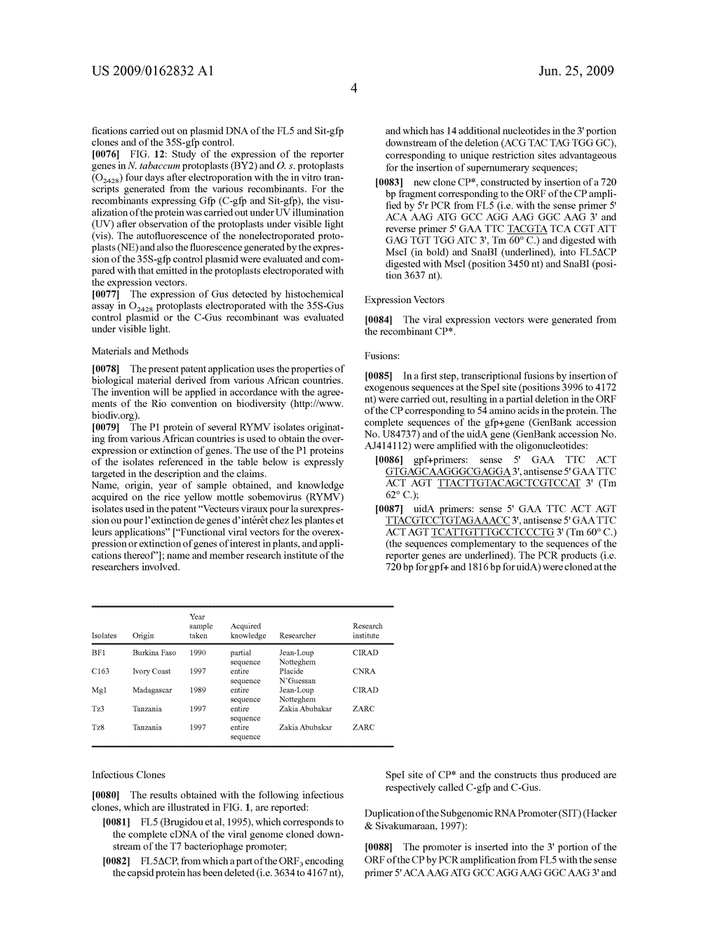 Functional viral vectors for the overexpression or extinction of particular genes in plants, and applications - diagram, schematic, and image 16