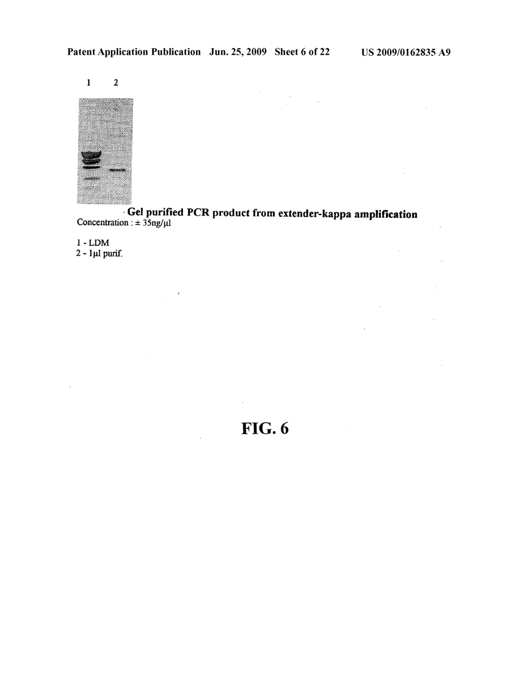 Novel methods of constructing libraries comprising displayed and/or expressed members of a diverse family of peptides, polypeptides or proteins and the novel libraries - diagram, schematic, and image 07