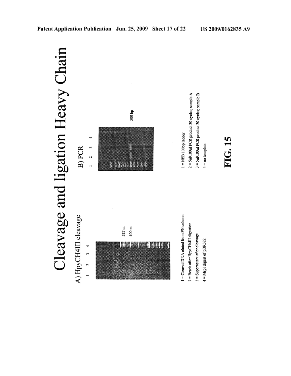 Novel methods of constructing libraries comprising displayed and/or expressed members of a diverse family of peptides, polypeptides or proteins and the novel libraries - diagram, schematic, and image 18