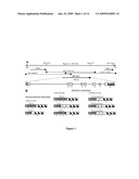 BAALC EXPRESSION AS A DIAGNOSTIC MARKER FOR ACUTE LEUKEMIA diagram and image