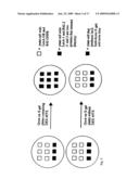 Orthogonal chemical inducer of dimerization diagram and image