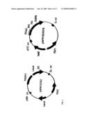 Orthogonal chemical inducer of dimerization diagram and image