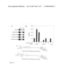 Orthogonal chemical inducer of dimerization diagram and image