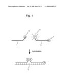 Nucleic acid detection probe diagram and image