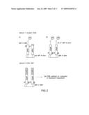 METHODS AND COMPOSITIONS FOR DETECTING AND QUANTIFYING SAPPB diagram and image