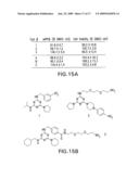 METHODS AND COMPOSITIONS FOR DETECTING AND QUANTIFYING SAPPB diagram and image