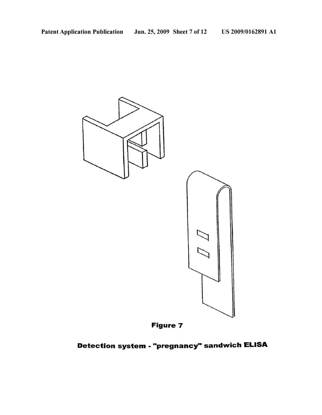 Effective Monitoring System or Anthrax, Smallpox, or Other Pathogens - diagram, schematic, and image 08