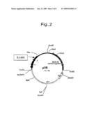 NITRILE HYDRATASE diagram and image