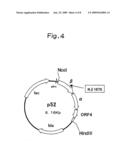 NITRILE HYDRATASE diagram and image