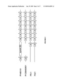 MANNITOL INDUCED PROMOTER SYSTEMS IN BACTERIAL HOST CELLS diagram and image