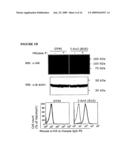 COMPOSITIONS AND METHODS COMPRISING THE USE OF CELL SURFACE DISPLAYED HOMING ENDONUCLEASES diagram and image