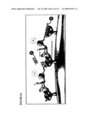 COMPOSITIONS AND METHODS COMPRISING THE USE OF CELL SURFACE DISPLAYED HOMING ENDONUCLEASES diagram and image