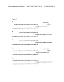 Novel Carbohydrate Profile Compositions From Human Cells and Methods for Analysis and Modification Thereof diagram and image