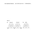 Novel Carbohydrate Profile Compositions From Human Cells and Methods for Analysis and Modification Thereof diagram and image