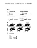 Novel Carbohydrate Profile Compositions From Human Cells and Methods for Analysis and Modification Thereof diagram and image