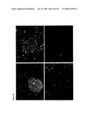 Novel Carbohydrate Profile Compositions From Human Cells and Methods for Analysis and Modification Thereof diagram and image