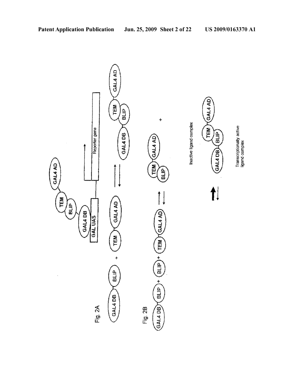 Competitive N-Hybrid System - diagram, schematic, and image 03