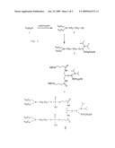 Nucleolipids and use thereof, and devices for nucleic acid analysis diagram and image