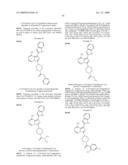 Fused Bicyclic mTor Inhibitors diagram and image