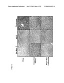 FXR Agonists for the Treatment of Nonalcoholic Fatty Liver and Cholesterol Gallstone Diseases diagram and image