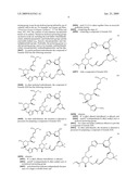 Phorboxazole Compounds and Methods of Their Preparation diagram and image