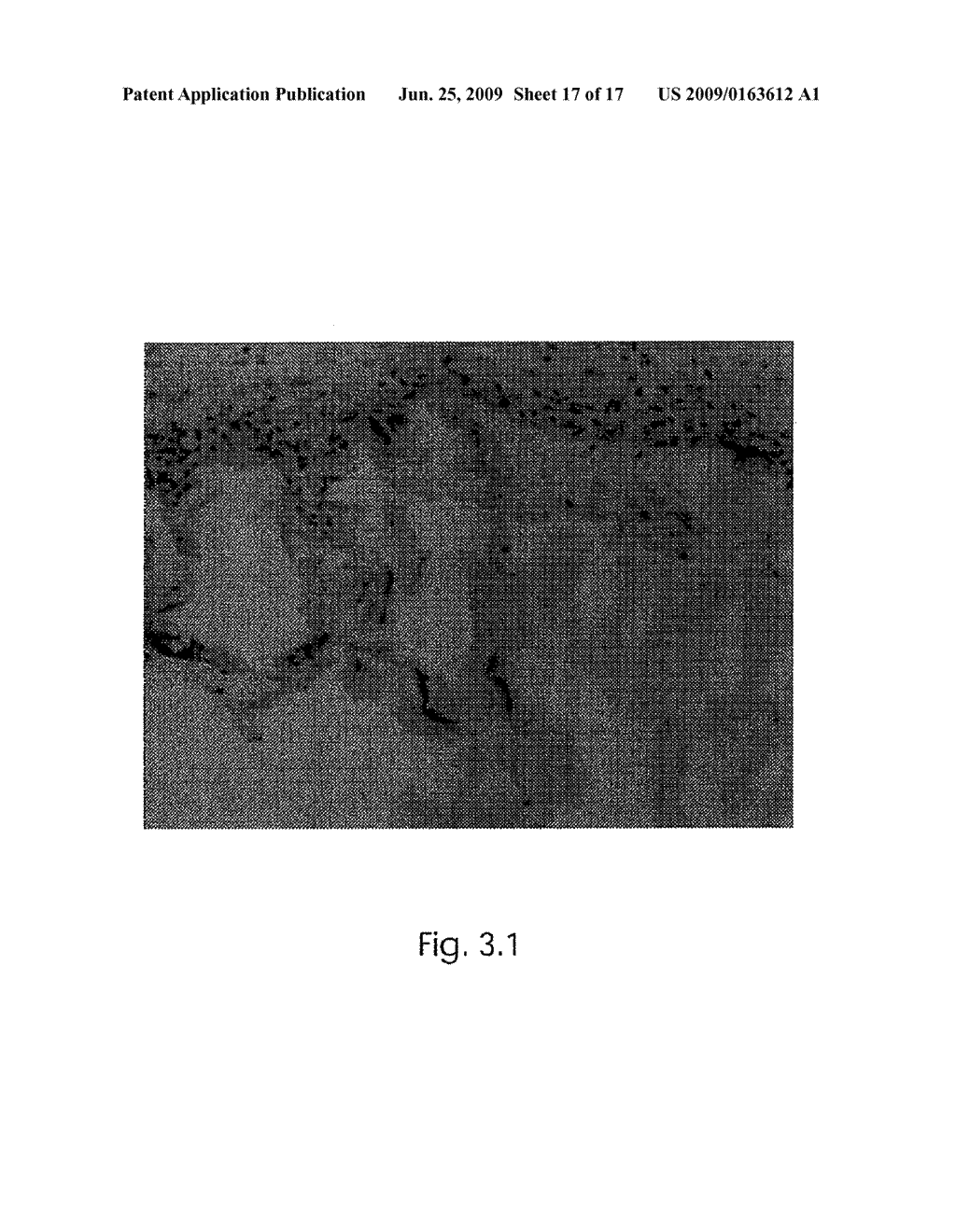 TISSUE ENGINEERING SCAFFOLD - diagram, schematic, and image 18