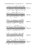 Modified gene-silencing RNA and uses thereof diagram and image