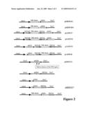 Modified gene-silencing RNA and uses thereof diagram and image