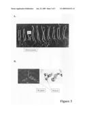 Modified gene-silencing RNA and uses thereof diagram and image