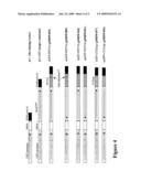 Modified gene-silencing RNA and uses thereof diagram and image