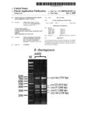 NOVEL BACILLUS THURINGIENSIS STRAIN FOR INHIBITING INSECT PESTS diagram and image