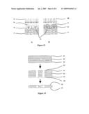 Production of microfluidic devices using laser-induced shockwaves diagram and image