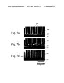 MOLDED WAVEGUIDES diagram and image