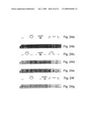 MOLDED WAVEGUIDES diagram and image