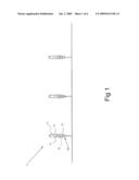 Light string having shunt circuitry arranged on husk of light bulb assembly diagram and image