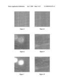 METHOD OF DETERMINING LUMINANCE VALUES FOR A BACKLIGHT OF AN LCD PANEL DISPLAYING AN IMAGE diagram and image