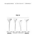 ZOOM LENS AND IMAGE PICKUP APPARATUS HAVING THE SAME diagram and image