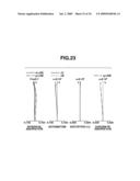 ZOOM LENS AND IMAGE PICKUP APPARATUS HAVING THE SAME diagram and image