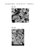 APPARATUS AND METHOD FOR DISINFECTING FOOD USING PHOTO-CATALYTIC REACTION OF TITANIUM DIOXIDE AND ULTRAVIOLET RAYS diagram and image