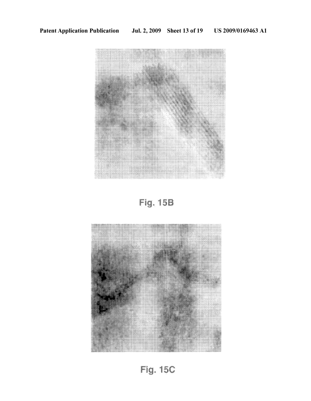 ARRAY OF FULLERENE NANOTUBES - diagram, schematic, and image 14