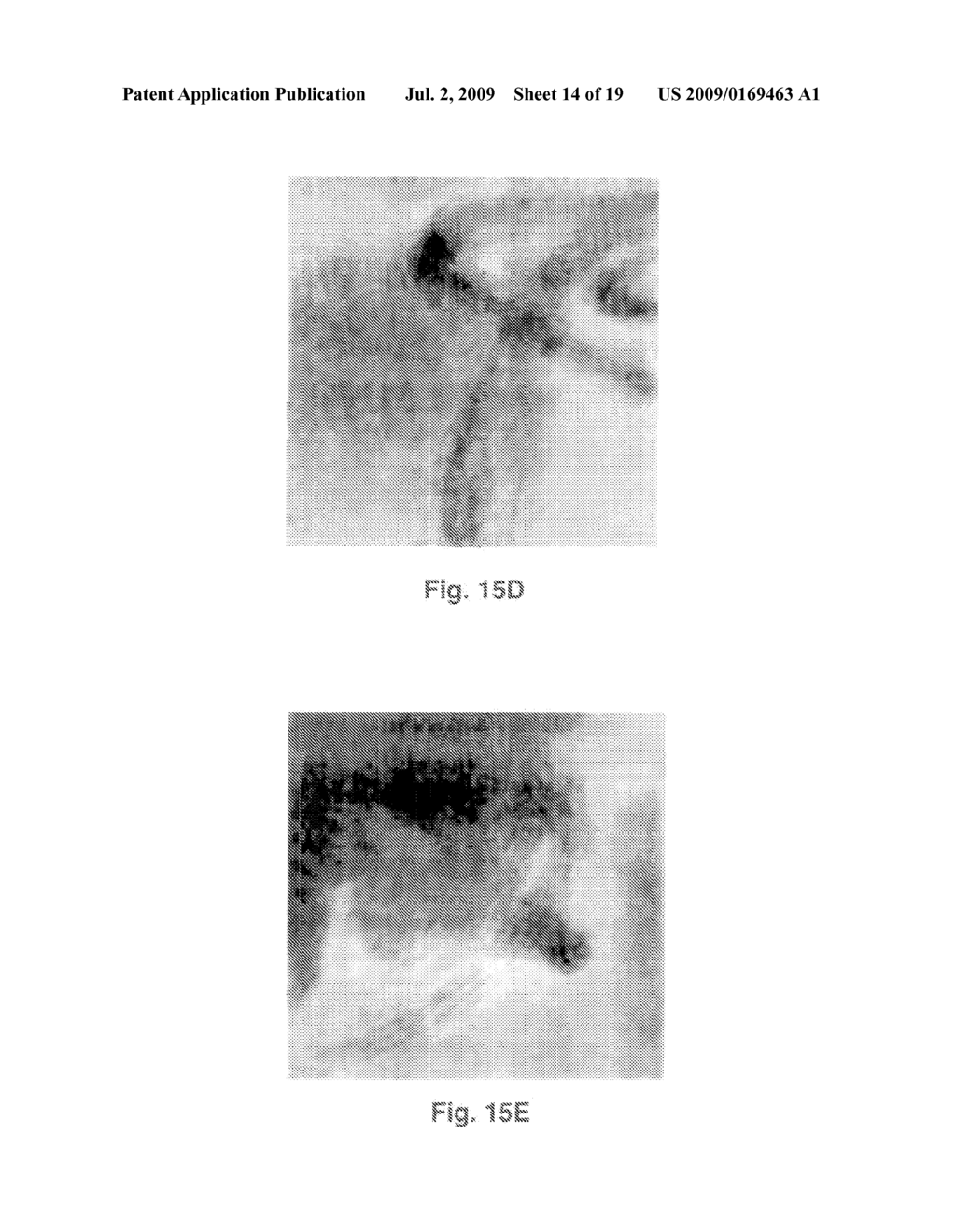 ARRAY OF FULLERENE NANOTUBES - diagram, schematic, and image 15