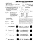 Expression Vectors Comprising the HS1 Promoter of the VAV1 Oncogene and Use Thereof for the Preparation of Pharmaceutical Compositions Intended for Somatic Gene Therapy diagram and image