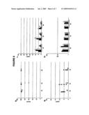 Expression Vectors Comprising the HS1 Promoter of the VAV1 Oncogene and Use Thereof for the Preparation of Pharmaceutical Compositions Intended for Somatic Gene Therapy diagram and image