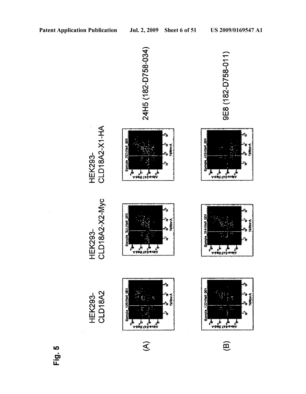 MONOCLONAL ANTIBODIES AGAINST CLAUDIN-18 FOR TREATMENT OF CANCER - diagram, schematic, and image 07