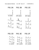 CONFORMATIONAL ISOMERS OF ALPHA-SYNUCLEIN, ANTIBODIES THERETO AND METHODS OF THEIR MANUFACTURE AND USE diagram and image