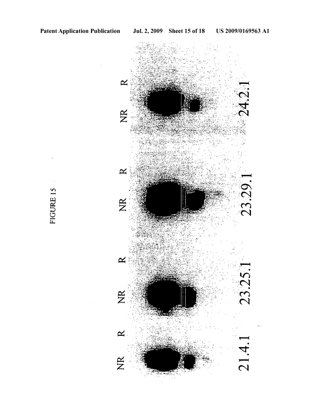 Antibodies to CD40 - diagram, schematic, and image 16