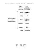 Stimulus Inducible Protein Kinase Complex and Methods of Use Therefor diagram and image